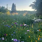 Domaine De L'ardoisiere Vakantiehuis *