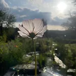 Holiday home Domaine De L'ardoisiere Alle