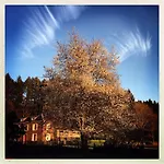 Vakantiehuis Domaine De L'ardoisiere *