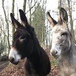 Domaine De L'ardoisiere Vakantiehuis *