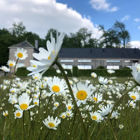 Domaine De L'ardoisiere *