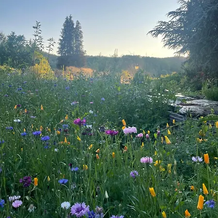 Domaine De L'ardoisiere Prázdninový dům *