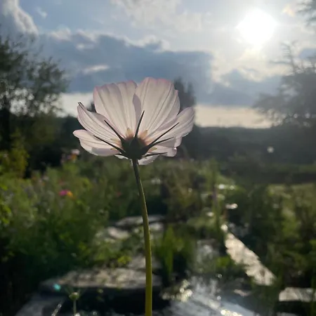 Prázdninový dům Domaine De L'ardoisiere Alle