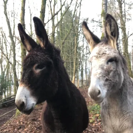 Domaine De L'ardoisiere Prázdninový dům *